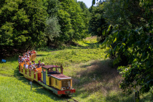 028 etienne ramousse destination beaujolais train miniature anse hd 2019