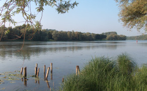 Pêche dans la Saône - Belleville