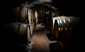 Visite-dégustation : Découverte du domaine et des vins du Beaujolais