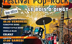 Festival Buis'n Pop